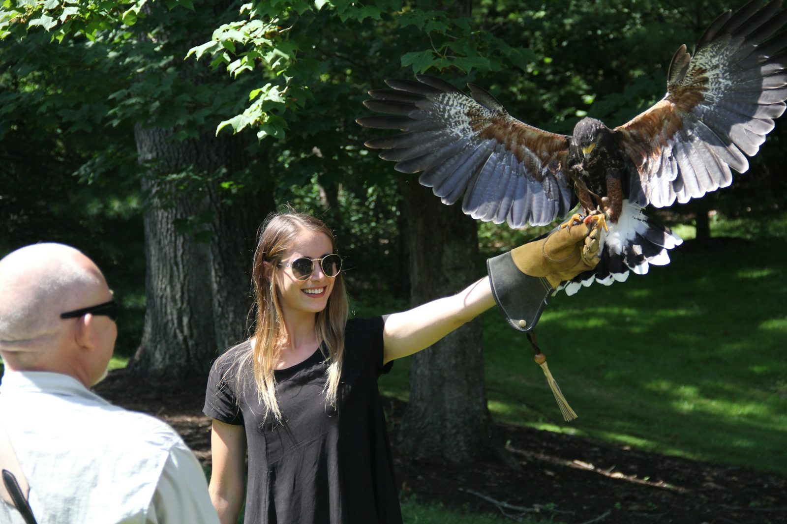 Falconry Lessons photo 1