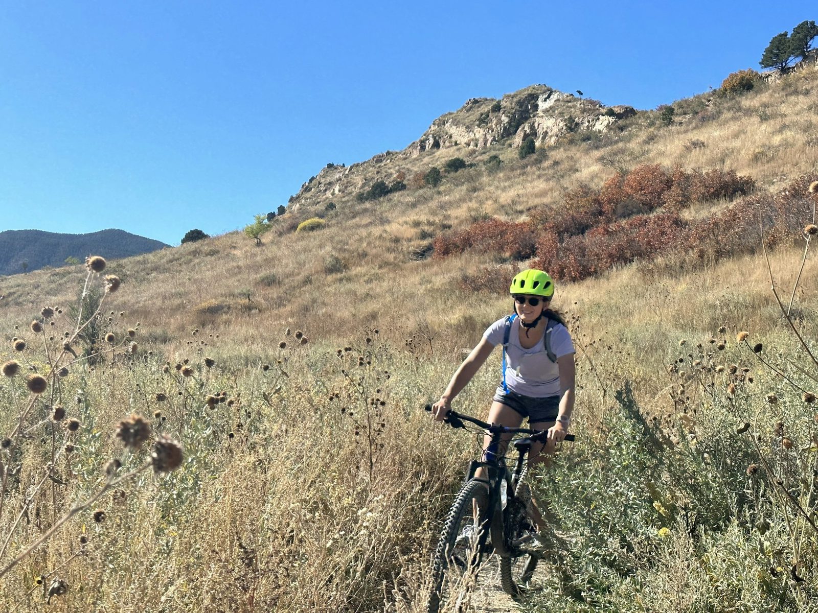 Mountain Bike Tours photo 3