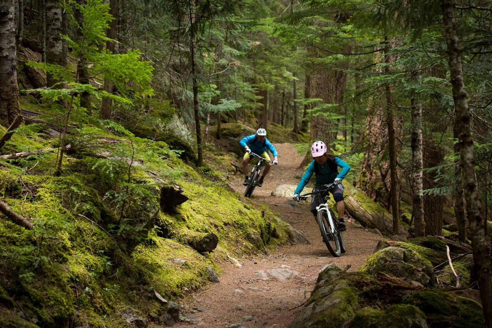 Bike Rentals photo 2
