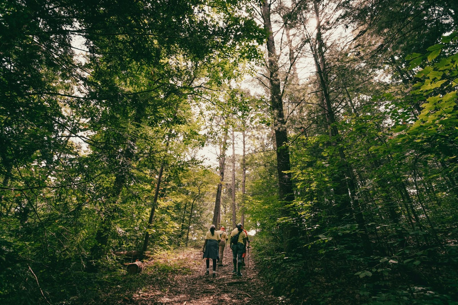 Nature Hiking