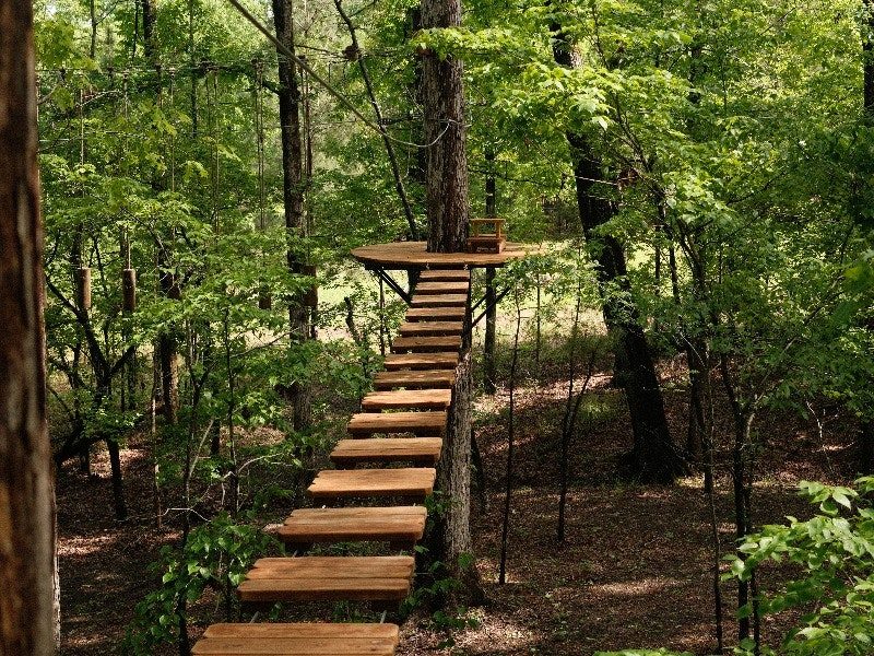 Aerial Adventure Course